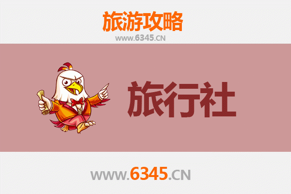 洛阳涧西区本地旅行社推荐及深度游玩攻略